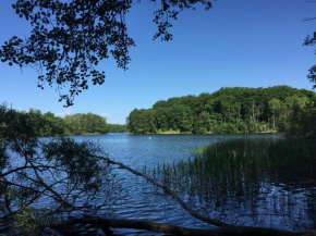 Natur pur, nah am Schaalsee